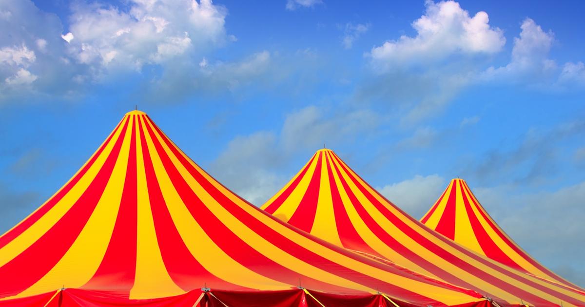 Marseille : la mairie obtient lâ€™expulsion dâ€™un cirque installÃ© dans le sud de la...