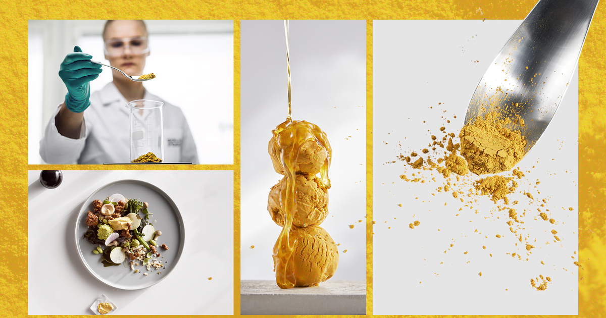 Â«Â Aliment du futurÂ Â» ou fausse solutionÂ ? En Finlande, on cultive une protÃ©ine...