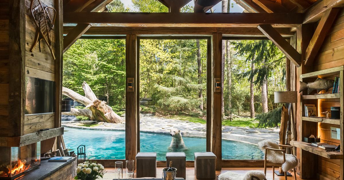 Chambres thématiques, suites avec vue sur les animaux, séminaires ... La stratégie des...