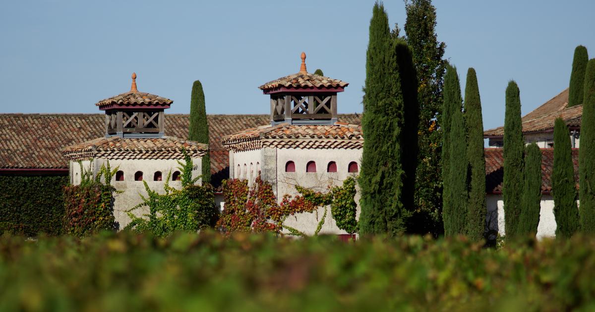 Au château Smith Haut Lafitte, des vins blancs «identifiables immédiatement»