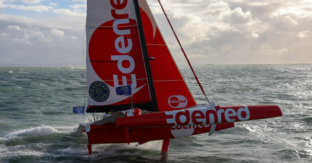 Transat CafÃ© Lâ€™Or : Â«On est dÃ©goÃ»tÃ©Â», avarie pour Roch et Bourgnon qui ont...