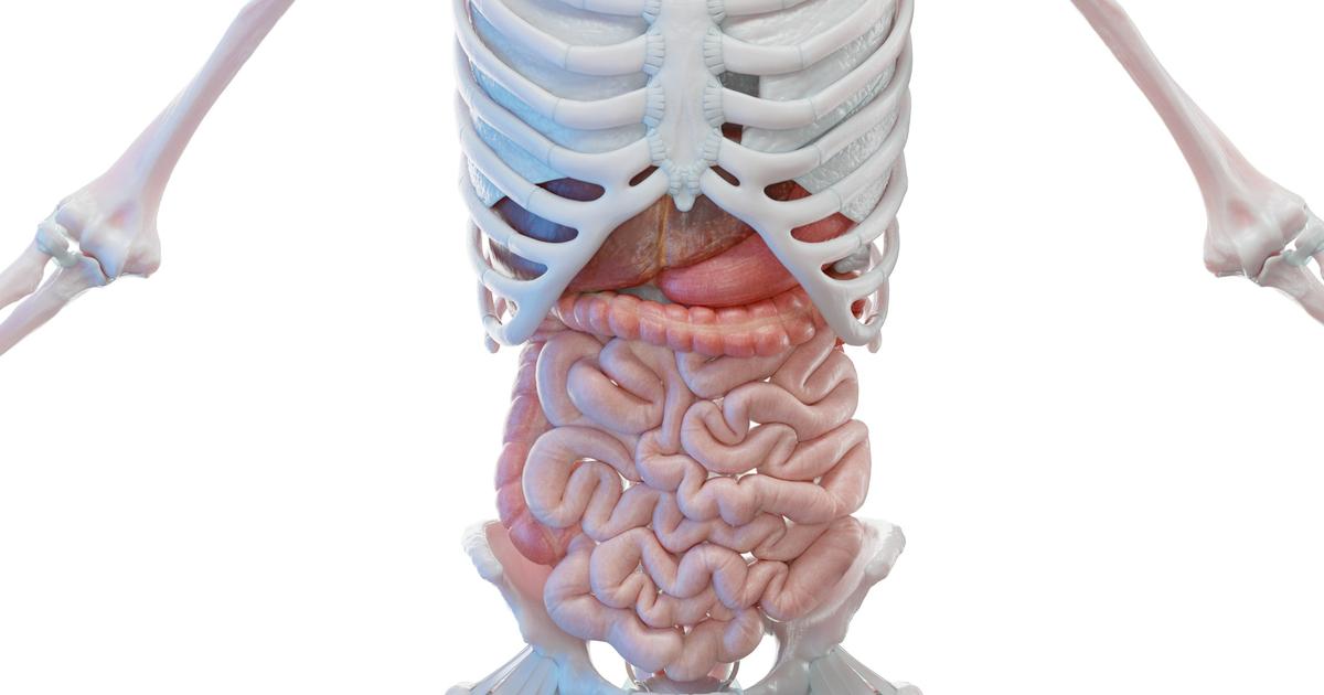 Cinq conseils inattendus d’une gastro-entérologue pour ne plus avoir mal au ventre