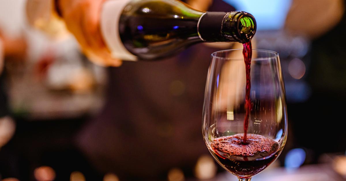 «On va trouver deux styles différents» : le millésime 2025 se dévoile en Bourgogne, quel goût auront les vins ?