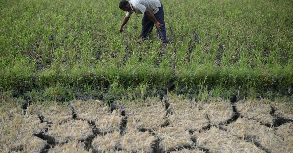 自然災害による被害額は30年間で30000億ドル以上