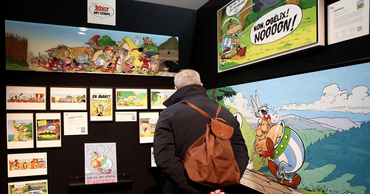 Communities and the State dismiss the association which organized the Angoulême Comics Festival