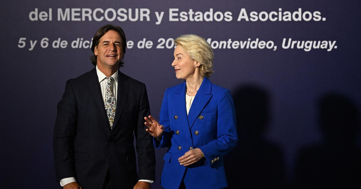 Mercosur : «Cela a-t-il un sens de transporter des carcasses bovines sur des milliers de kilomètres ?