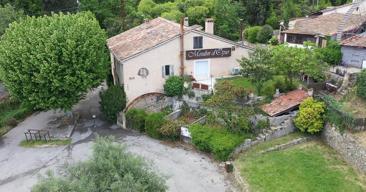 Près de Grasse, un moulin à huile de 1848 réhabilité dans un contexte difficile pour la culture de l’olive