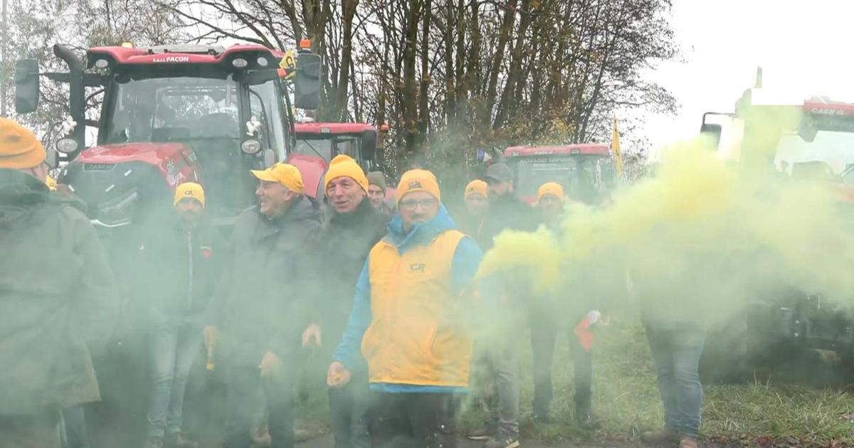 «La pilule ne passe toujours pas» : à Arras, des dizaines d’agriculteurs mobilisés contre le Mercosur avant la venue d’Emmanuel Macron