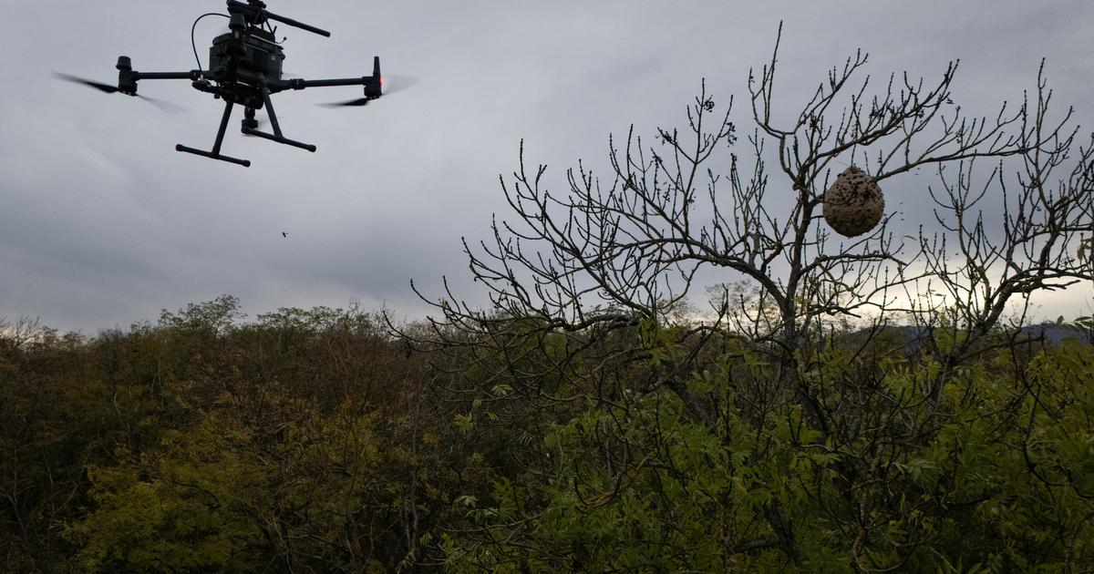 Roumanie : des avions de chasse mobilisés après la nouvelle incursion ...