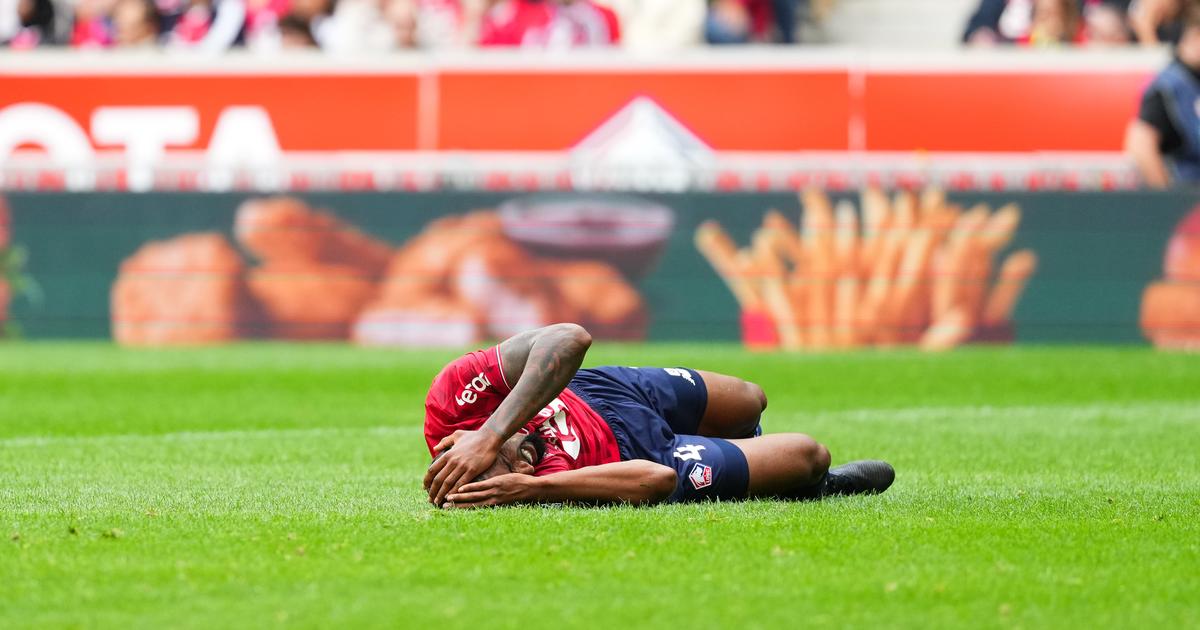 Ligue 1 : Le dÃ©fenseur lillois, Alexsandro, ne sera finalement pas opÃ©rÃ©