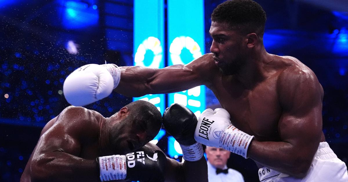 Boxe : Â«Je vais le piÃ©tinerÂ», Josuha lance les hostilitÃ©s avant dâ€™affronter Jake...