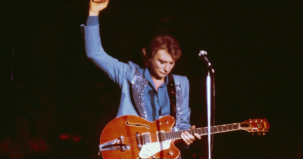 Peignes de Johnny Hallyday et cheveux de Claude FranÃ§ois vendus aux enchÃ¨res