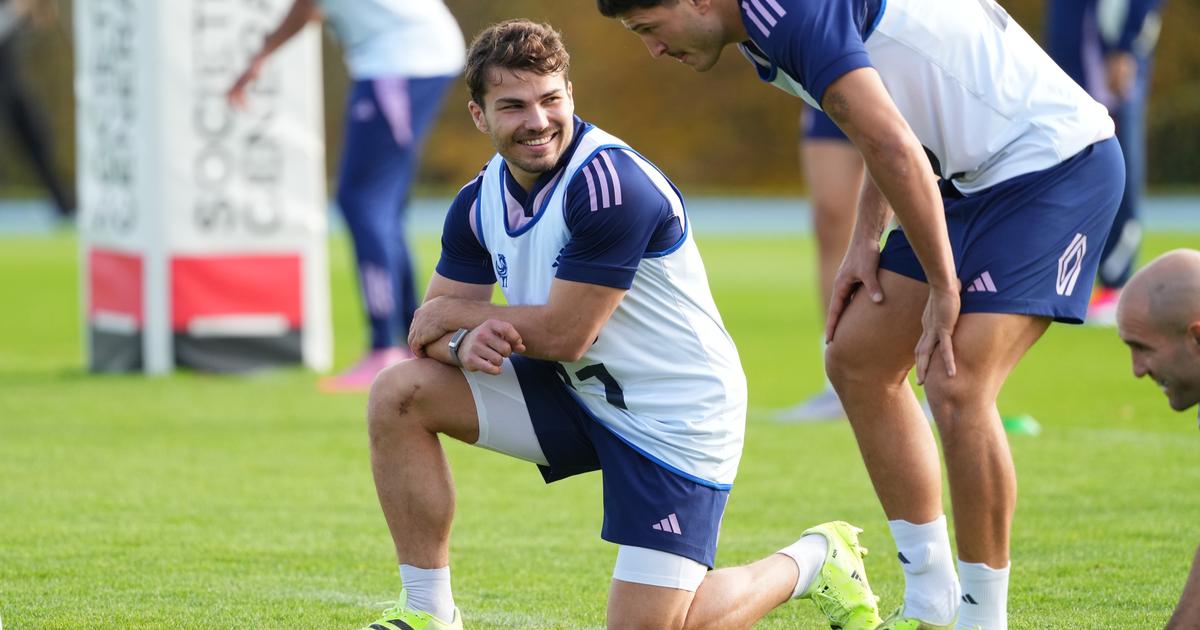 Top 14 : Willis absent Â«quelques semainesÂ» avec Toulouse, Dupont sâ€™est entraÃ®nÃ©...