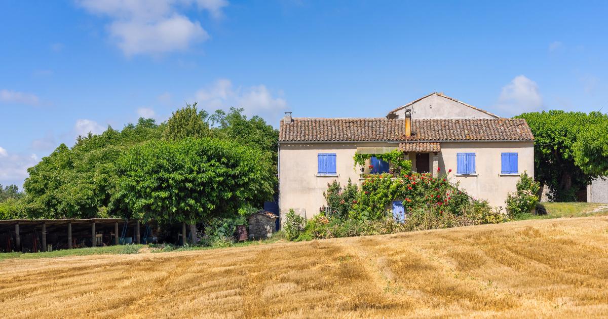 «Vous savez que vous n’êtes pas folle, mais il n’y a personne pour vous croire» : à la campagne, le fléau silencieux des violences conjugales