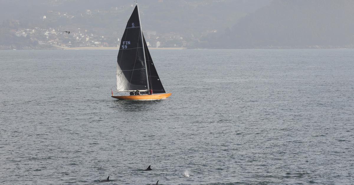 Voile : aprÃ¨s la mort d'un stagiaire, lâ€™Ã©cole des GlÃ©nans mise en examen