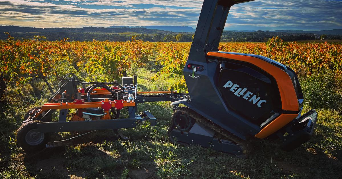 «L’idée n’est pas de remplacer l’homme, mais de le soulager» : le tout premier robot viticole autonome fait son apparition dans le vignoble français