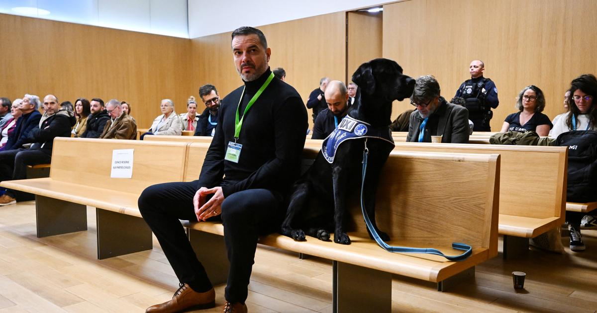 Â«Jâ€™ai Ã©tÃ© mariÃ© Ã  un fantÃ´meÂ» : face Ã  Maylis Daubon, accusÃ©e...