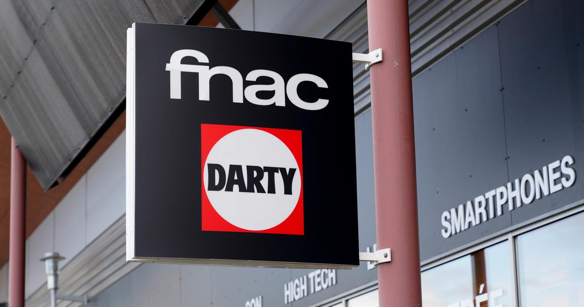 Fnac Darty au défi de vivre avec l’e-commerçant chinois JD.com à son capital