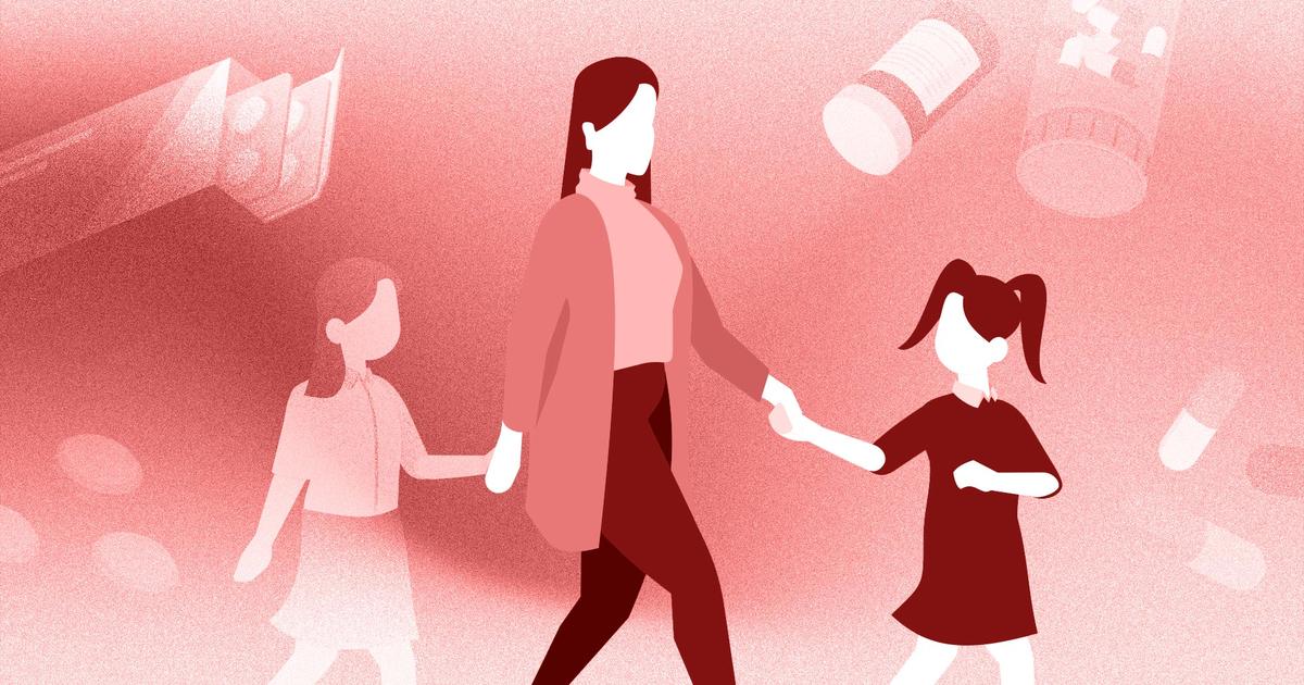 «Je n’ai jamais été aliénée» : au procès de Maylis Daubon, la fille multiplie les incohérences pour disculper sa mère