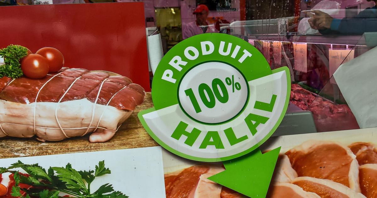 «Ils m’ont séquestrée» : une journaliste italienne agressée à Roubaix pendant un reportage sur une boucherie halal