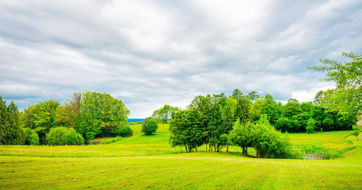 Â«Un gÃ¢chis monumentalÂ» : en Haute-Vienne, un projet routier de 6,5 kilomÃ¨tres Ã  132...