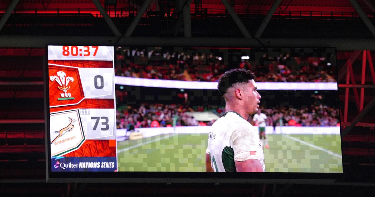 Rugby : l'Afrique du Sud inflige une terrible correction au pays de Galles Ã  Cardiff