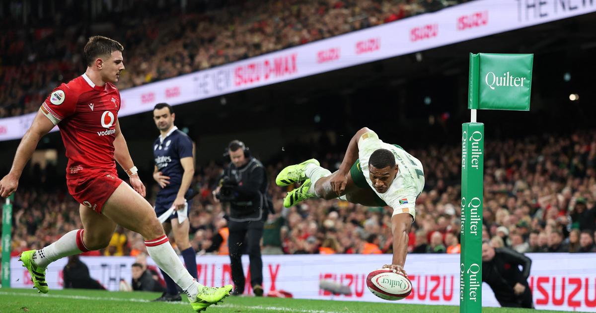 Rugby : en vidÃ©o, le rÃ©cital offensif de lâ€™Afrique du Sud face au pays de Galles