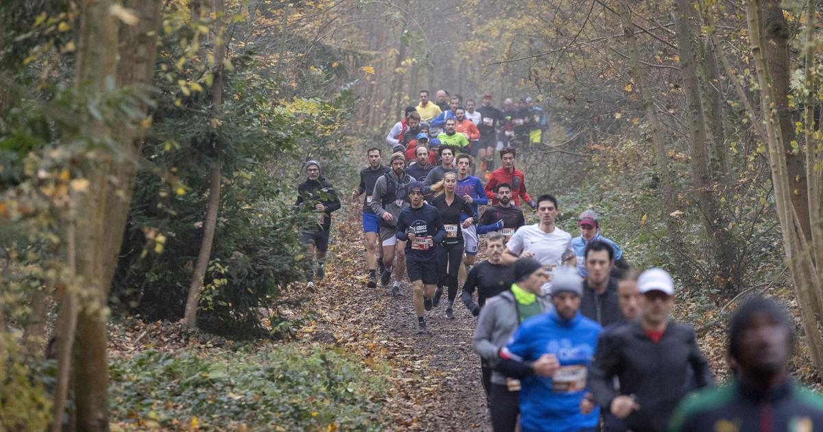 Cross du Figaro 2025 : une édition record lancée dans le froid mais avec le soleil
