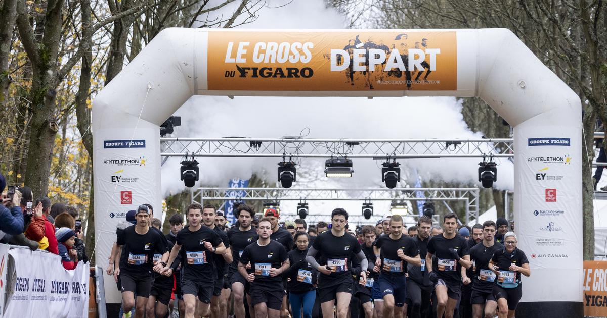 Cross du Figaro 2025 : retrouvez les rÃ©sultats complets de toutes les courses