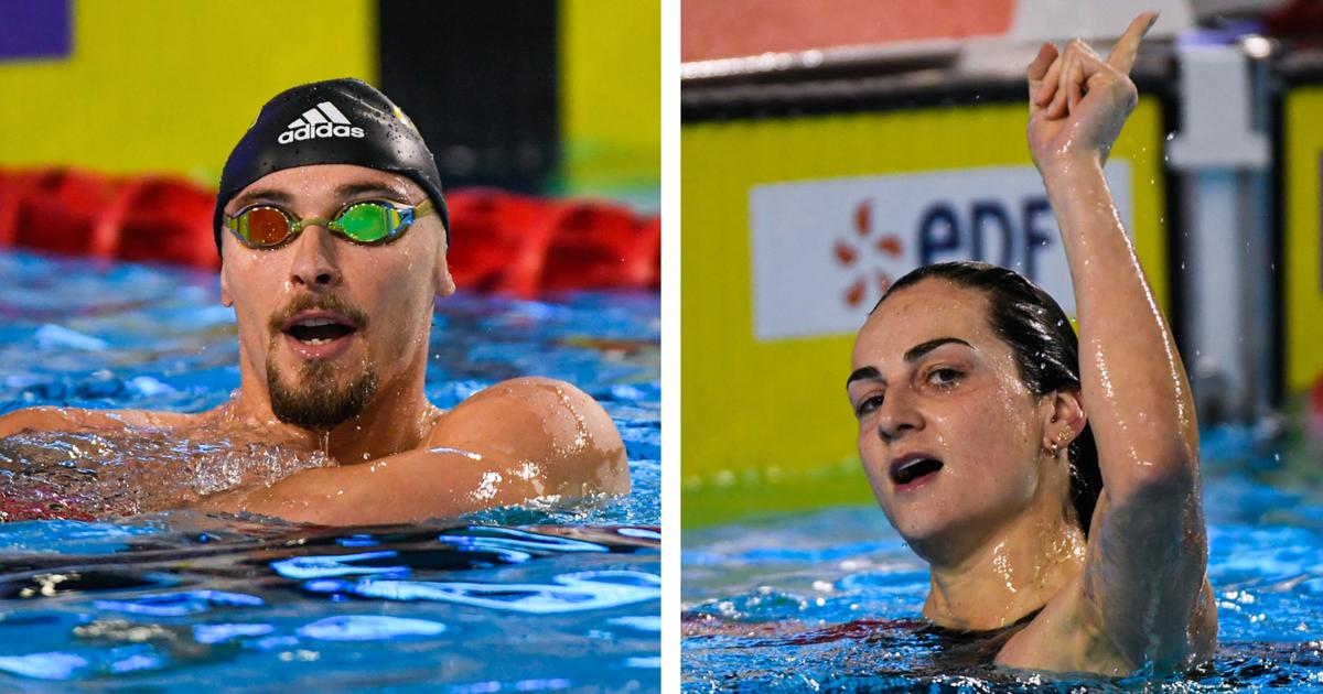 Natation : Grousset et Gastaldello qualifiÃ©s, Cristofini Ã©liminÃ© dâ€™entrÃ©e