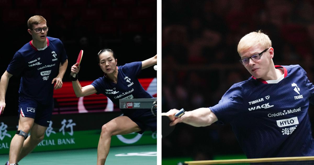 Tennis de table : avec des Lebrun en forme, la France se qualifie pour le 2e tour de la Coupe du...