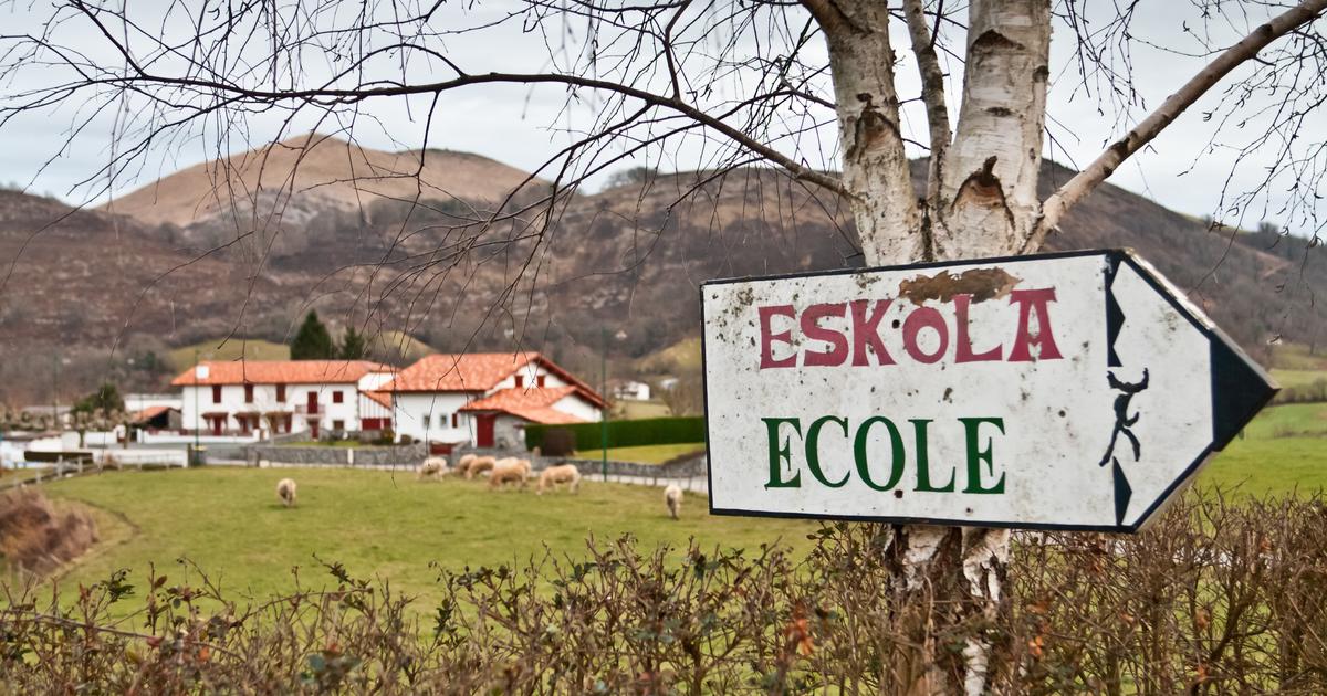 Tradition, excellence académique, opportunités professionnelles... Les raisons du succès de l’apprentissage d’une langue régionale