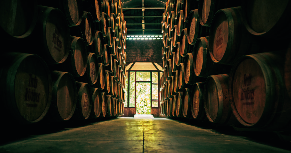 «Les traditions rhumières s’effacent pour faire place à l’innovation» : mélasse et agricole, les deux grandes familles de rhum plus si ennemies