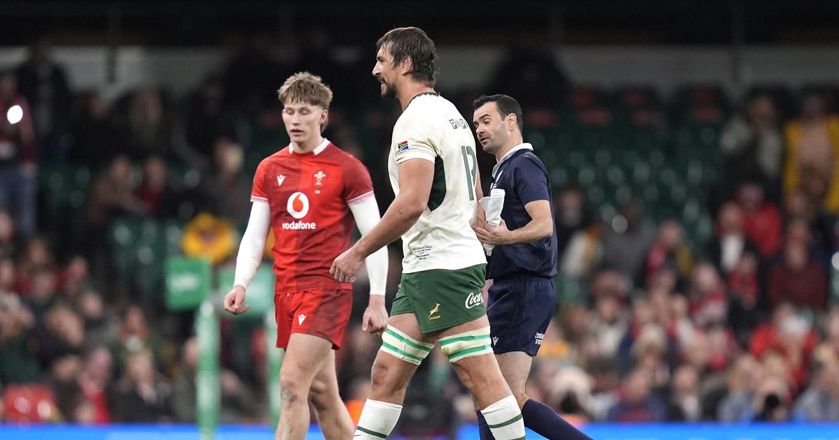 Rugby : le Sud-Africain Etzebeth plaide Â«un acte non intentionnelÂ» pour Ã©chapper Ã  une...