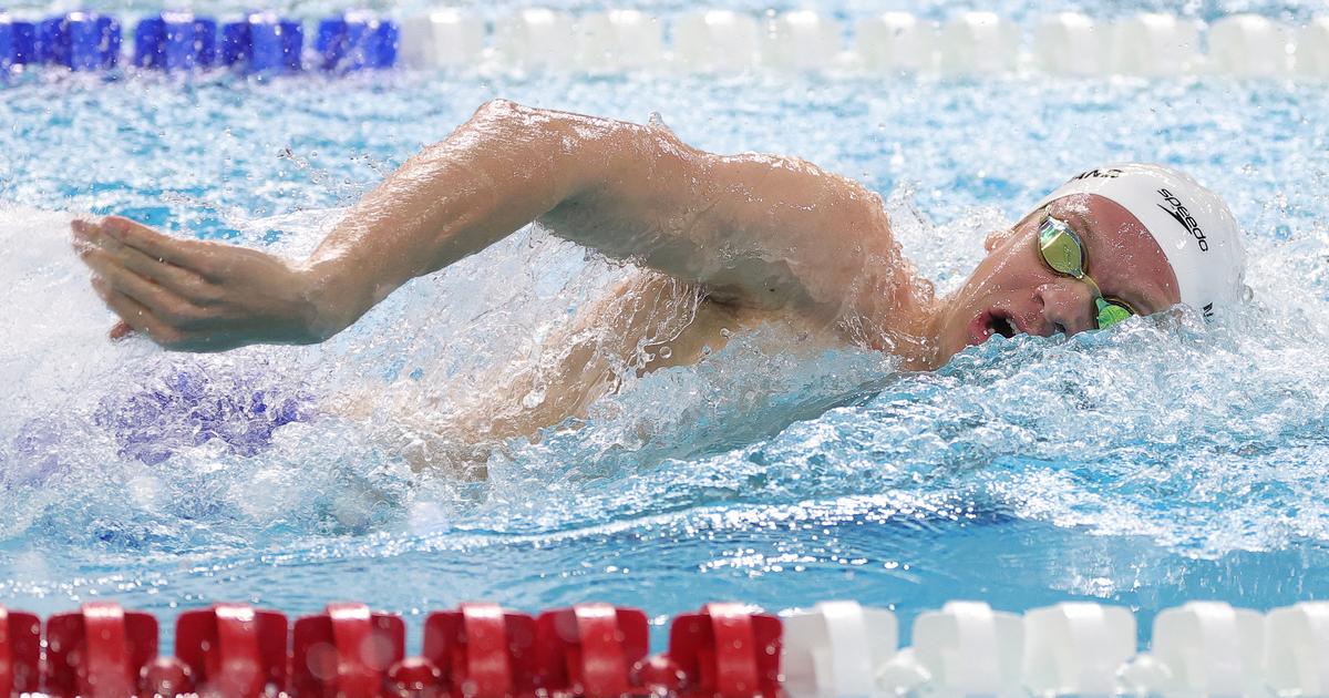 US Open de natation : Léon Marchand à l'aise sur 400 m nage libre