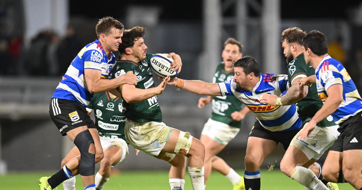 Rugby, Champions Cup : cliniques et robustes, les Stormers font chuter Bayonne (résumé vidéo)