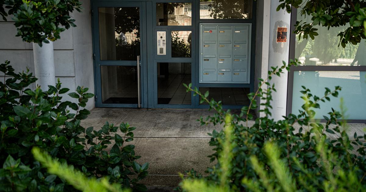 Assassinat d’un influenceur chrétien irakien à Lyon : les aveux en trompe-l’œil de Sabri B.