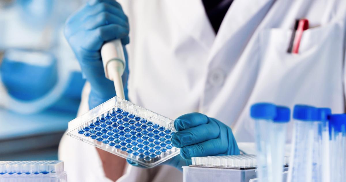 Poitiers: un homme retrouvÃ© 10 ans aprÃ¨s avoir commis un viol grÃ¢ce Ã  la...