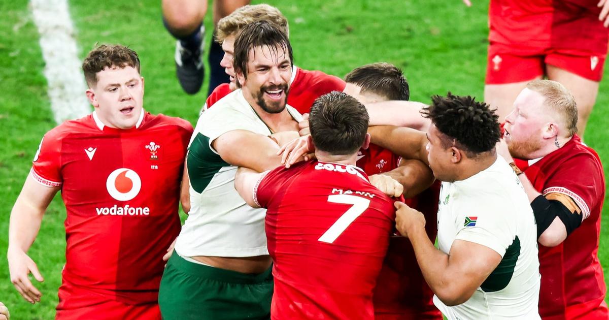 Rugby : Â«Vous avez maintenant un peu plus de contexteÂ», Etzebeth sâ€™explique sur...