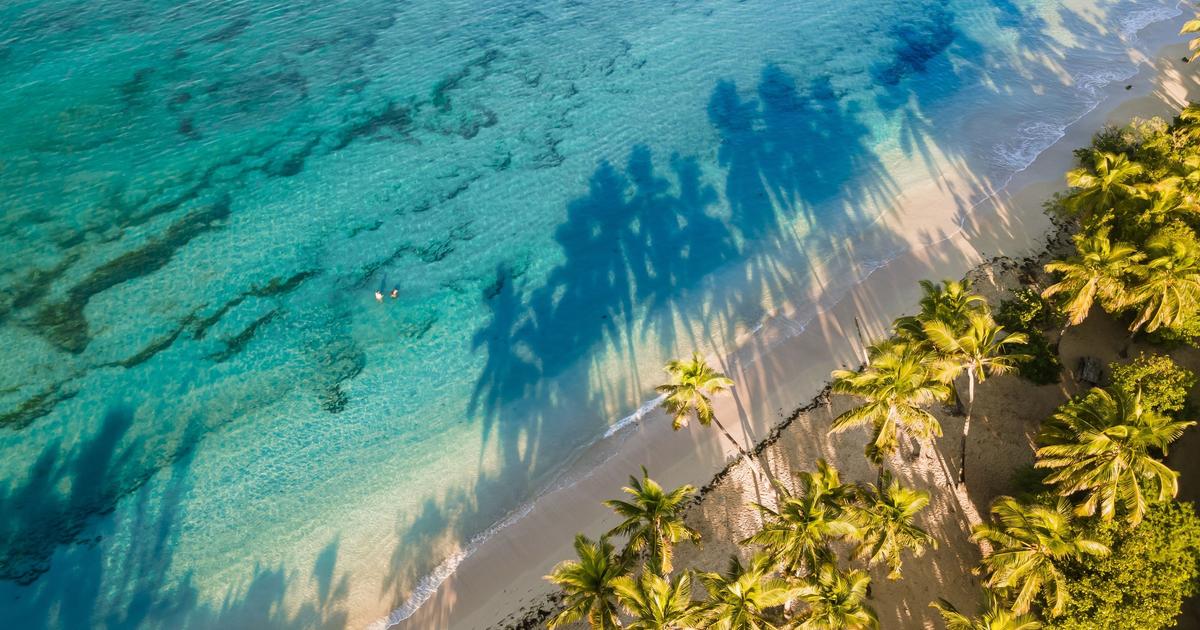 En Martinique, la rÃ©serve naturelle de la Caravelle Ã©largit son pÃ©rimÃ¨tre Ã  la Baie...