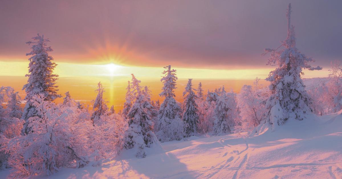 Contes, romans, correspondances, histoire, voyages... Découvrez la vaste sélection de Noël du Figaro littéraire