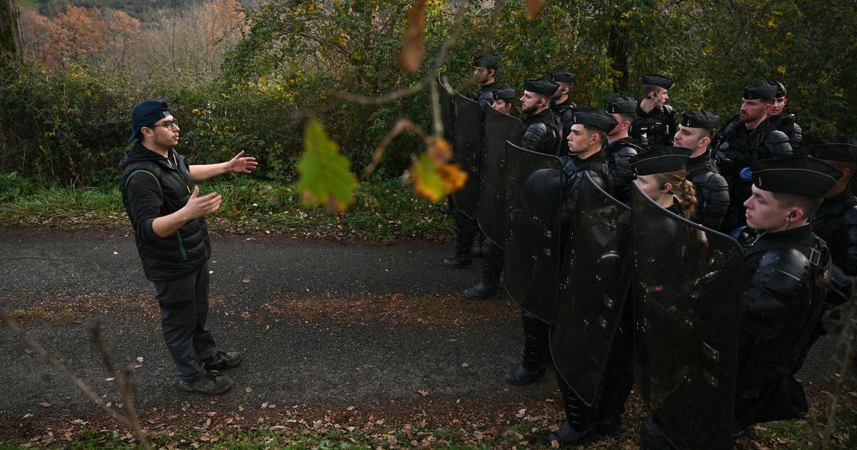 Dermatose : l’exécutif joue la fermeté en Ariège face à la résistance paysanne