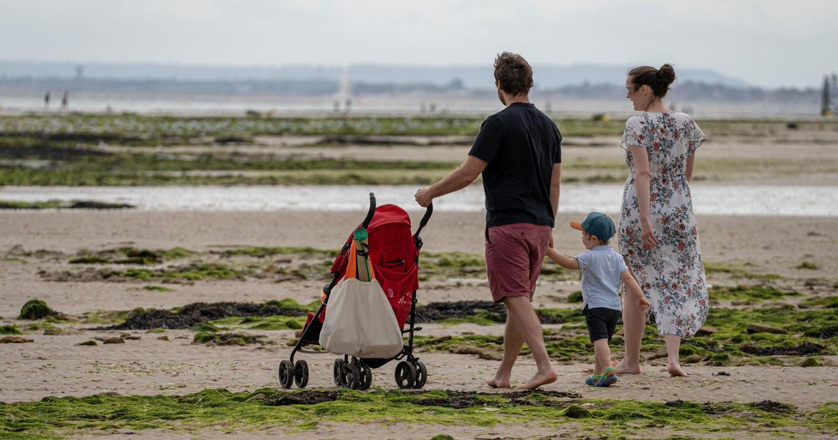« Faire un enfant aujourd’hui, c’est accepter de perdre du temps, de l’argent… et parfois sa carrière » : ce que révèle la consultation parlementaire sur la dénatalité