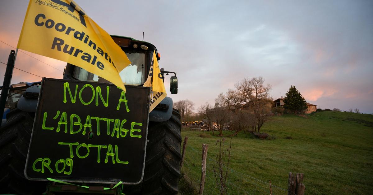 Dermatose : où sont prévues les manifestations à venir d’agriculteurs contre l’abattage des élevages ?