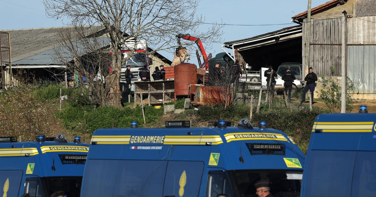 Â«Â Le travail dâ€™une vie quâ€™ils mettent Ã  terreÂ Â»Â : en AriÃ¨ge, la...