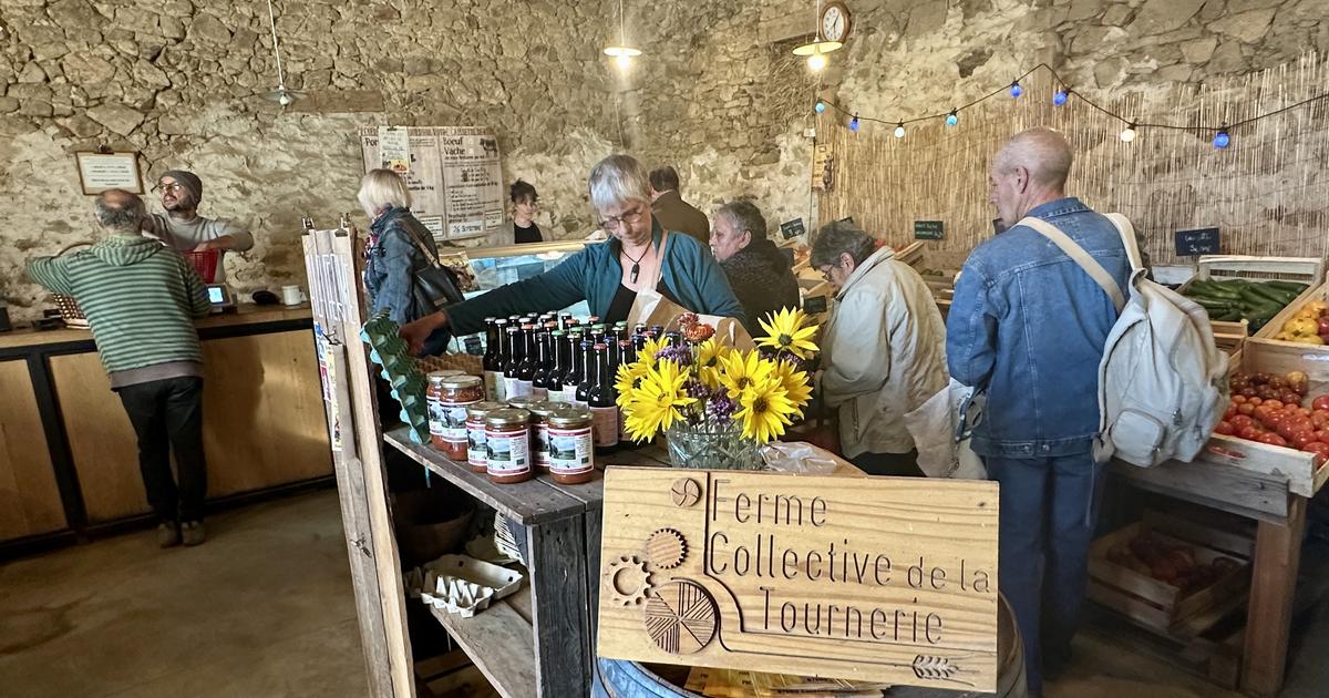 «On est à peu près au Smic, ça nous suffit pour vivre» : en Haute-Vienne, le pari réussi de jeunes agriculteurs à la tête d’une ferme collective
