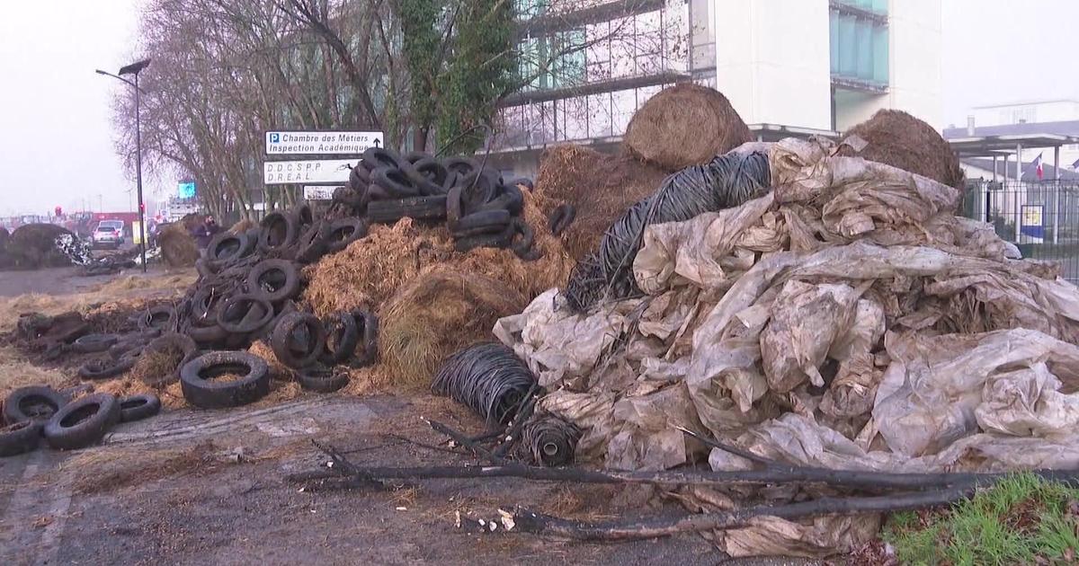 Dermatose : les images des déchets déversés à Agen par les agriculteurs