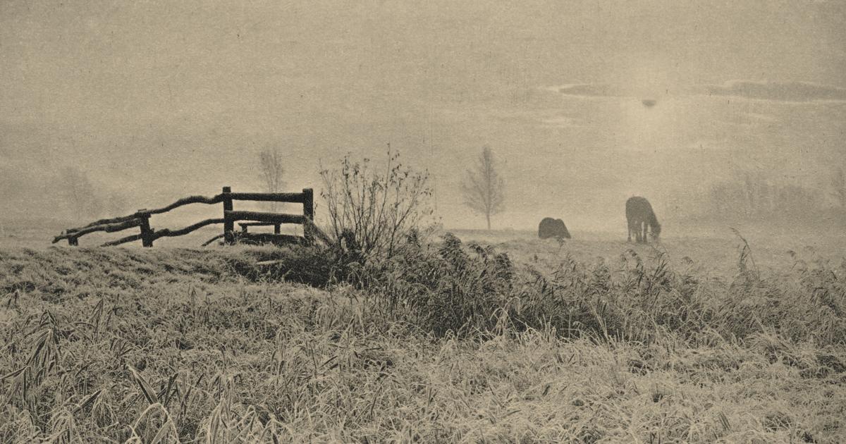 Les Contemplations de Hugo illustrées par les premières photographies