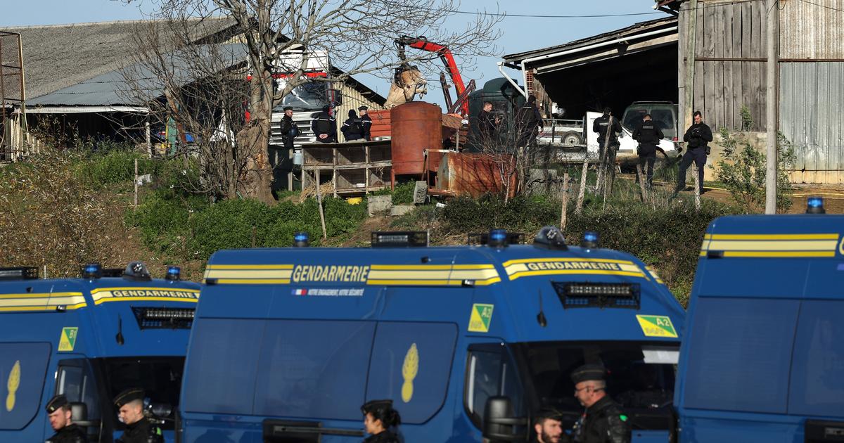 « Le travail d’une vie qu’ils mettent à terre » : en Ariège, la colère paysanne gronde face à l’abattage des cheptels touchés par la dermatose nodulaire