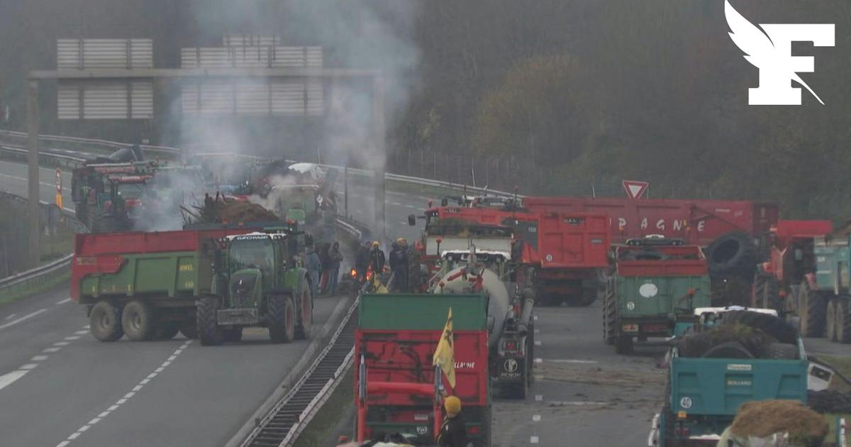 Dermatose nodulaire : autoroutes bloquées, ronds points occupés… retour en images sur une journée de colère agricole